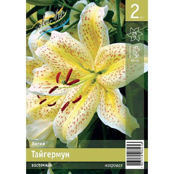 Лилия Тайгермун 12/14 2 Эконом шт