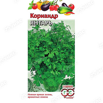 Кориандр Янтарь Гавриш Ц