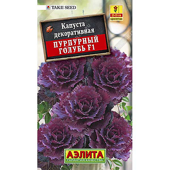 Капуста декор. Пурпурный голубь  Аэлита Ц 