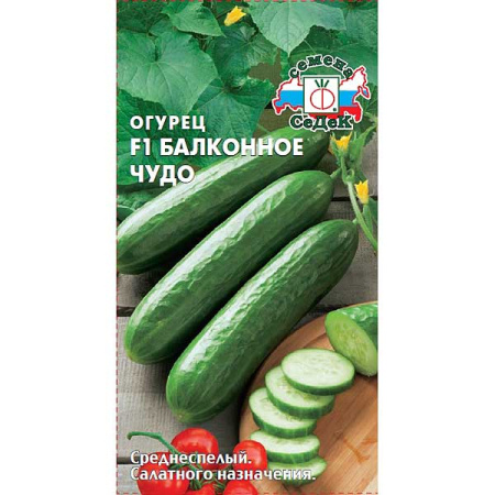 Огурец Балконное чудо Седек Ц