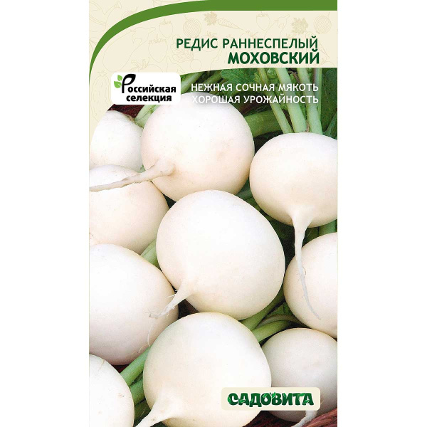 Редис Моховский 1гр Садовита Ц