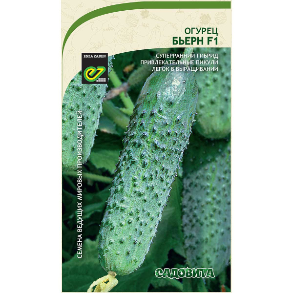Огурец Бьерн F1 5шт Enza Zaden/Садовита Ц