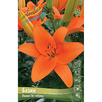 Лилия Базин 12/14 7 шт 
