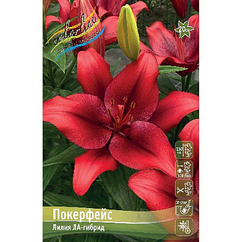 Лилия Покерфейс 13/14 7 шт 