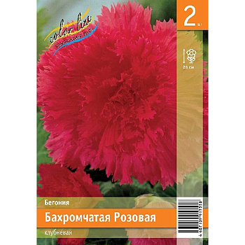 Бегония Бахромчатая Розовая 4/5 2 Эконом шт