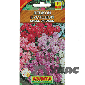 Левкой Кустовой Аэлита Ц 