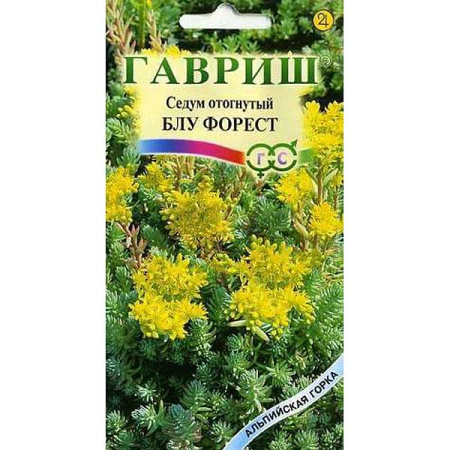 Седум Блу Форрест отогнутый Н8 Гавриш Ц 