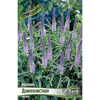 Вероника Длиннолистная I 1 шт