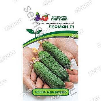 Огурец Герман Партнер Ц