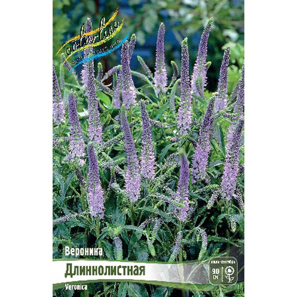 Вероника Длиннолистная I 1 шт