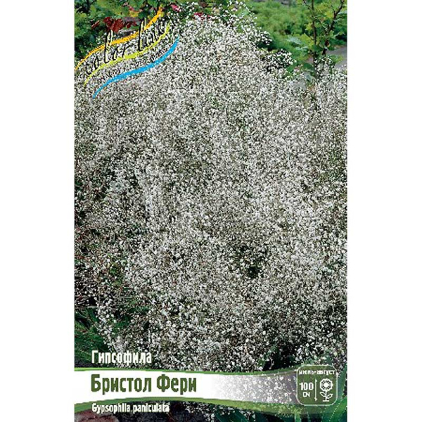 Гипсофила Бристол Фери I 1 шт