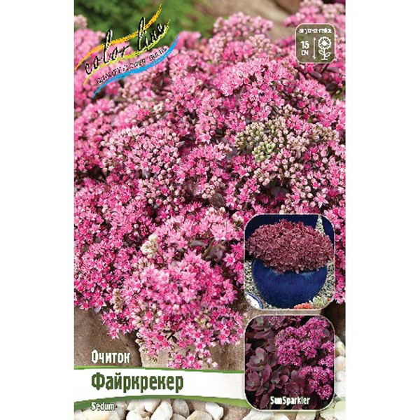 Очиток Файркрекер *Sunsparkler I 1 шт