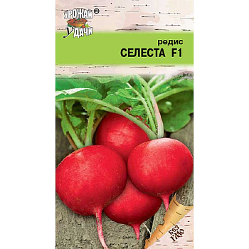 Редис Селеста Урожай у дачи Ц