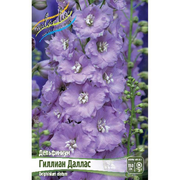 8395 Биг-Пак Дельфиниум Гиллиан Даллас 3/5 n 25 шт