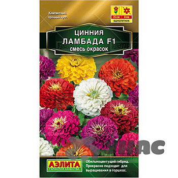 Циния Ламбада смесь окрасок Аэлита Цх10 