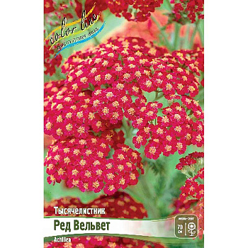 8626 Биг-Пак Тысячелистник Ред Вельвет I 25 шт