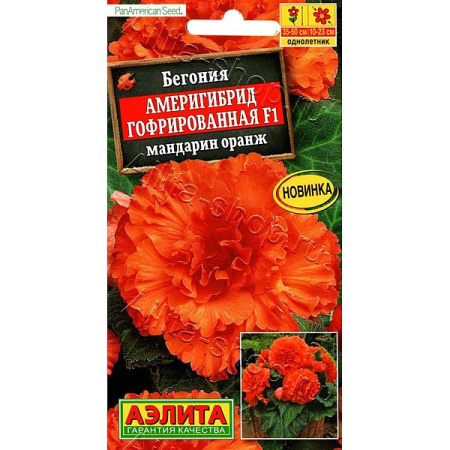 Ком Бегония Америгибрид мандарин оранж Аэлита Ц 