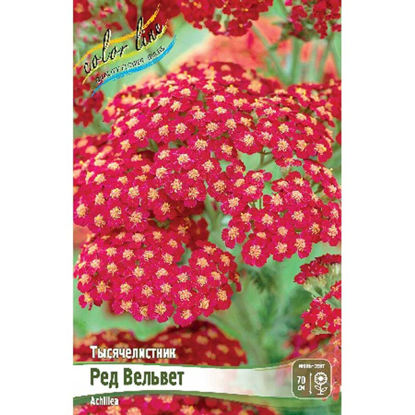 8626 Биг-Пак Тысячелистник Ред Вельвет I 25 шт