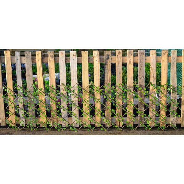 Раздвижная изгородь NA2653 маленький лист 120*250 см (30)