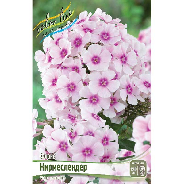 Флокс Кирмеслендер I 25 шт Биг-Пак 1235 