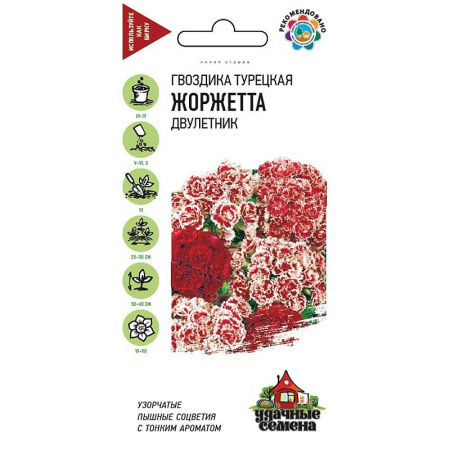 Гвоздика турецкая Жоржетта Удач сем Гавриш Ц 