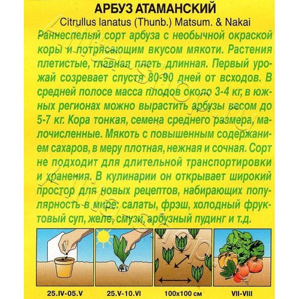 Арбуз Атаманский Аэлита