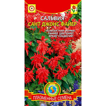 Сальвия Сант Джонс Файер Плазма Ц 