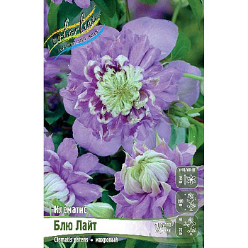 Клематис Блю Лайт I 25 шт Биг-пак 739 