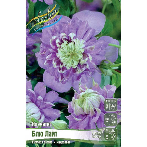Клематис Блю Лайт I 25 шт Биг-пак 739 