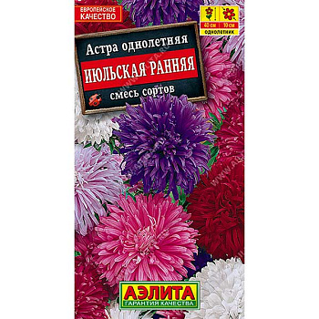 Астра Июльская смесь Аэлита Ц 