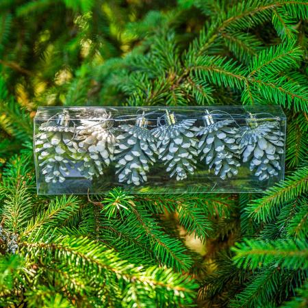 Шар 6DC6-H32-3 6шт 6см "Шишка" белая с белой каймой (360)