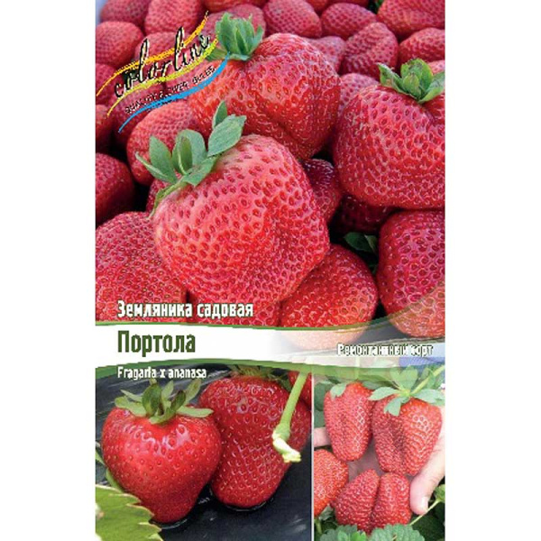 Земляника Садовая Портола A 5 шт 