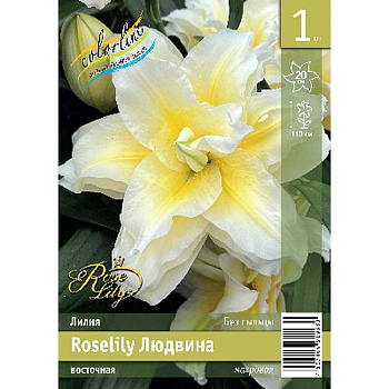 Лилия Roselily Людвина 12/14 1 Эконом шт 