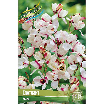 Иксия Спотлайт 5/+ 10 шт