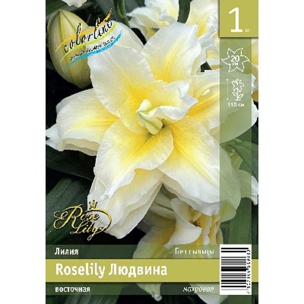 Лилия Roselily Людвина 12/14 1 Эконом шт 