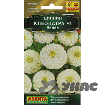 Циния Клеопатра белая Аэлита Цх10 