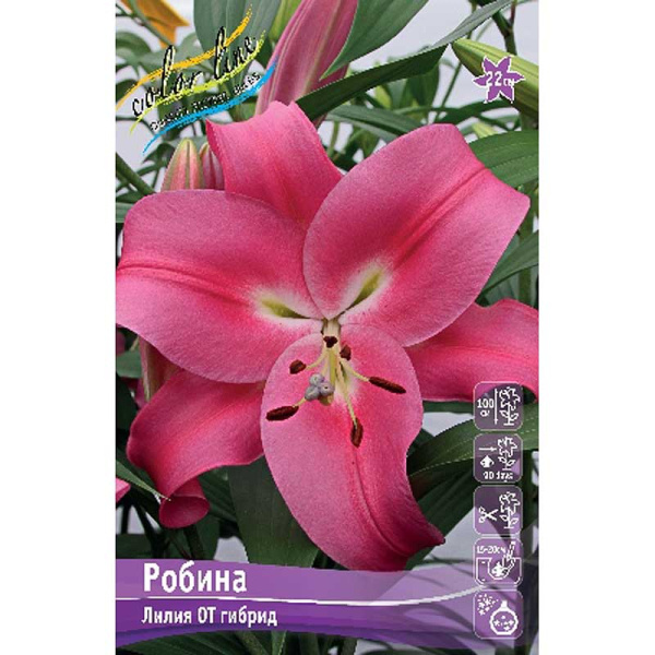 Лилия Робина 18/20 25 шт Биг-Пак 11288 