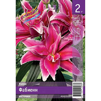 Лилия Фабиенн 12/14 2 Эконом шт 