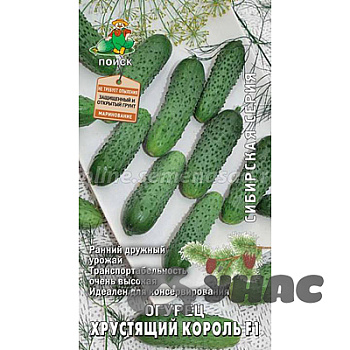 Огурец Хрустящий король Поиск Ц