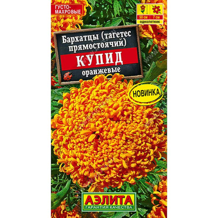 Бархатцы Купид оранжевые хризантемовид. Аэлита Цх10 