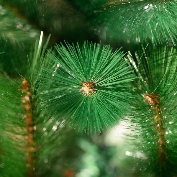 Елка HJ180-29  180см зелен. 225веток мет подст.