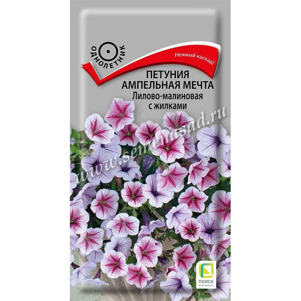 Петуния Мечта Лилово-малиновая с жилками Поиск Ц 