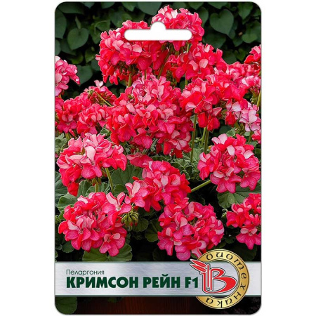 КОМ Пеларгония Кримсон Рейн Биотехника Ц 