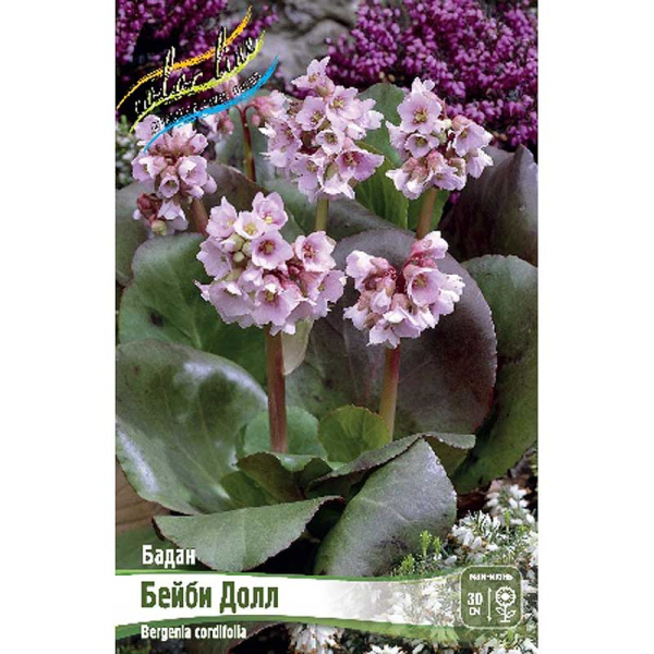 Бадан Бейби Долл I 1 шт