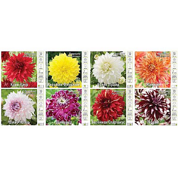 Витрина Георгина V-Dh-06 (Р-Р I, Х 8 Секц.) 80 шт 16129 