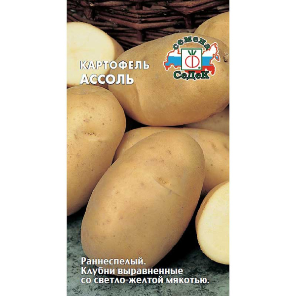 Картофель Ассоль Элита (цена за 25кг +-5%) Седек