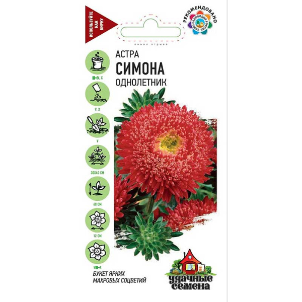 Астра Симона Удачн.сем Гавриш Ц 
