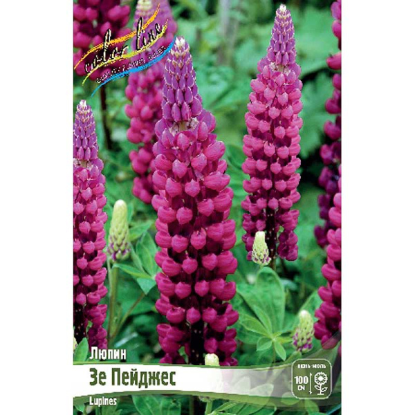 Люпин Зе Пейджес I 50 шт Биг-Пак 602