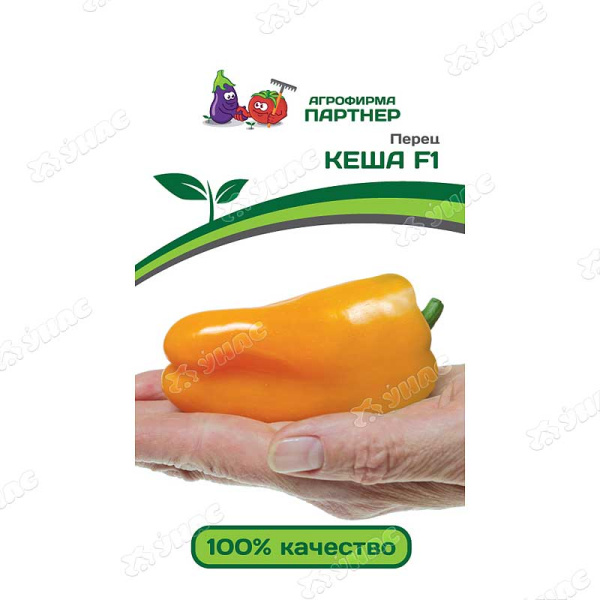 Перец Кеша Партнер Ц