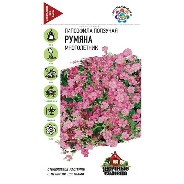 Гипсофила Румяна Удач. семена Гавриш Ц 